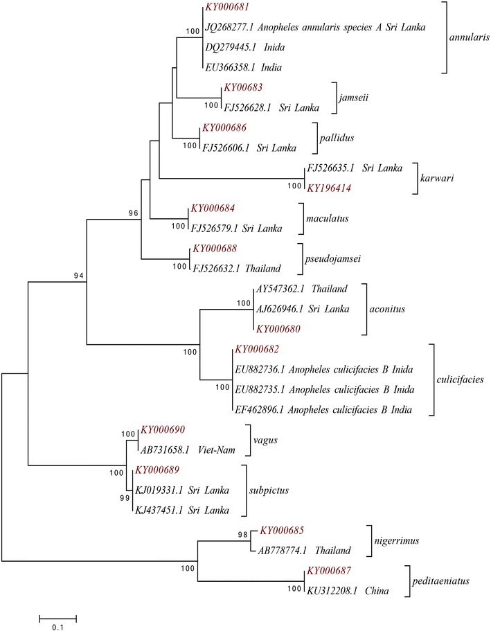 Fig. 2