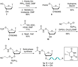 Scheme 1