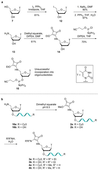 Scheme 2