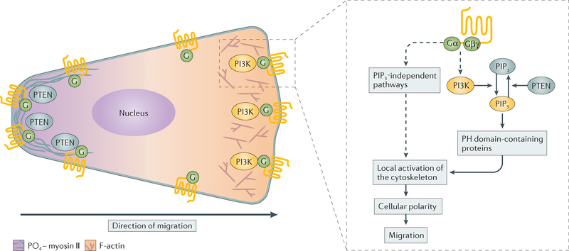 Figure 2 |