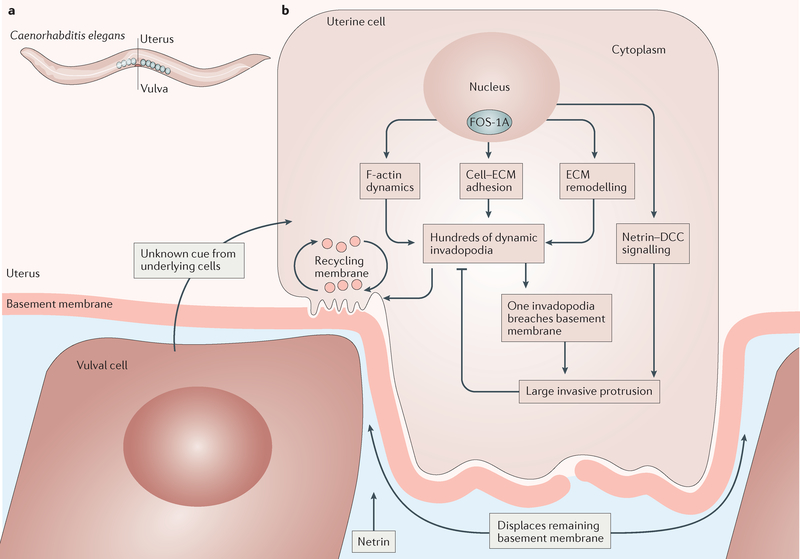 Figure 3 |