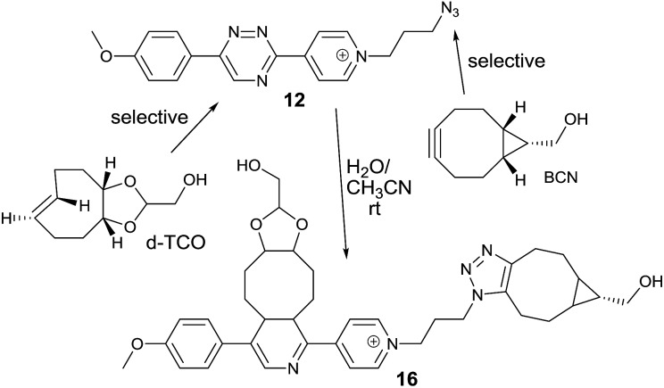 Scheme 3