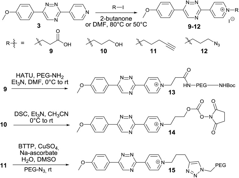 Scheme 2