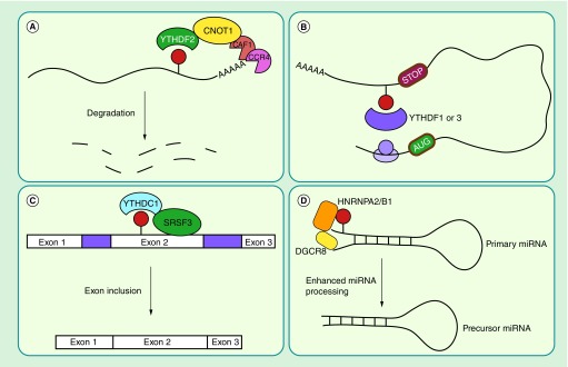 Figure 1. 