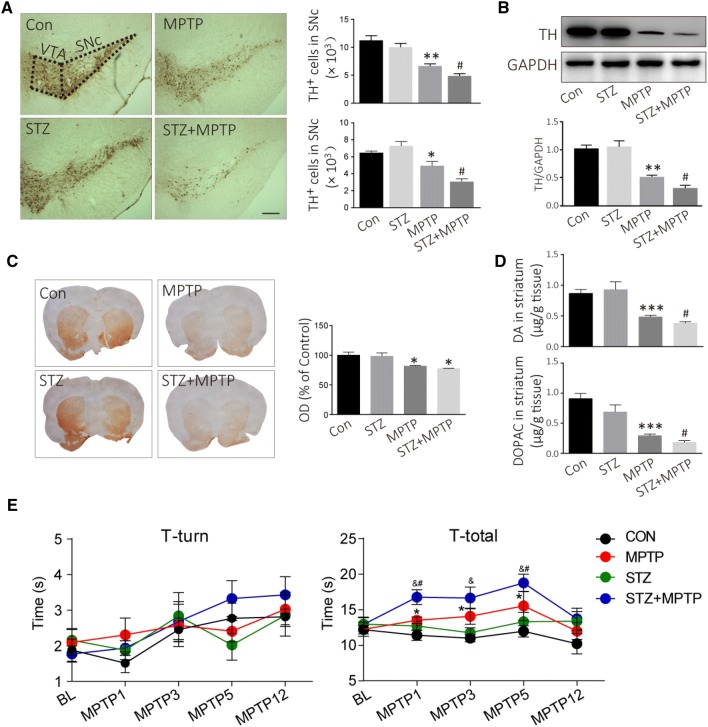 Fig. 2