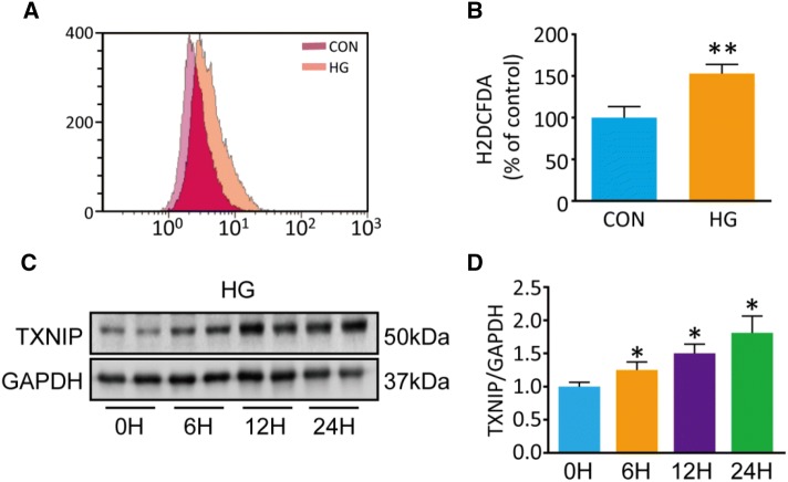 Fig. 4