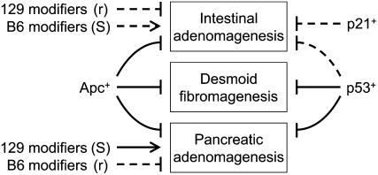 Figure 3.—