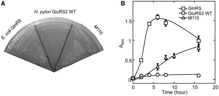 Figure 4.