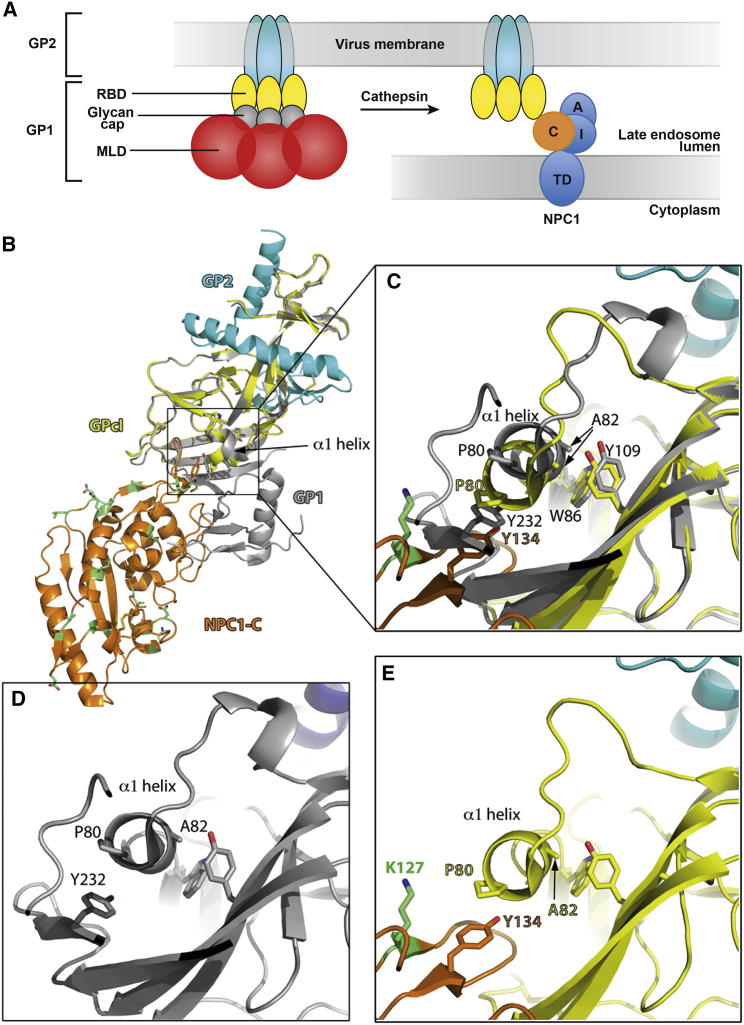 Figure 6