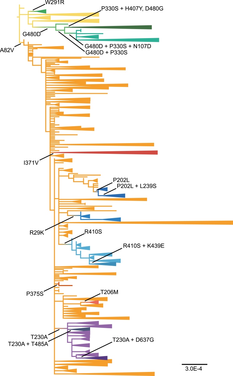 Figure 1