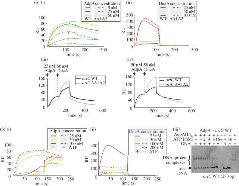 Figure 2.