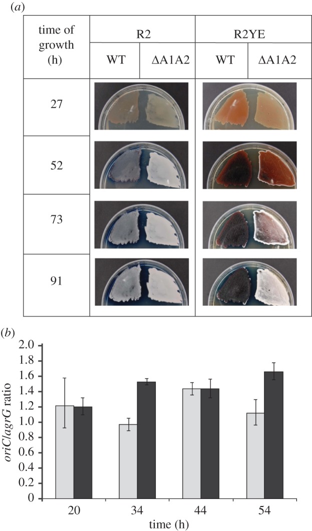 Figure 3.