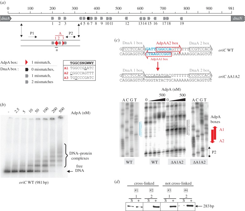 Figure 1.