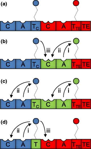 Fig. 2