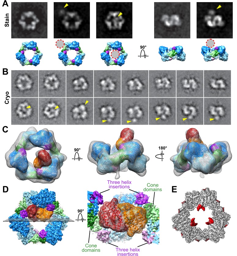 Figure 4.