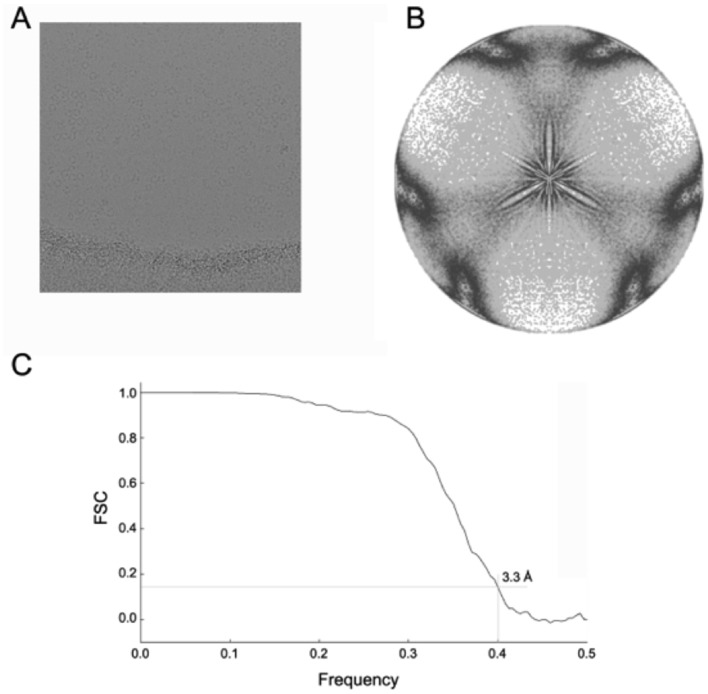 Figure 3—figure supplement 3.