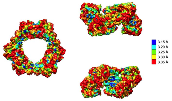 Figure 3—figure supplement 4.