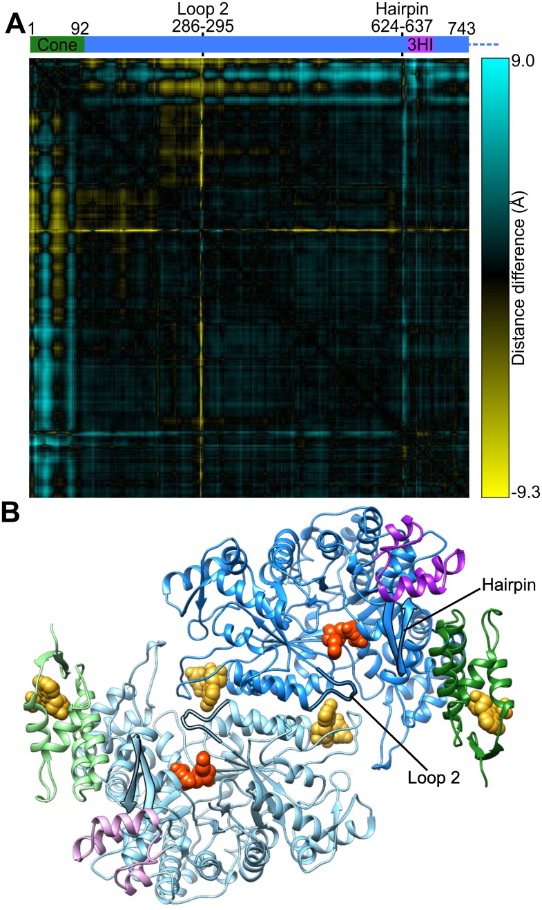 Figure 3—figure supplement 5.