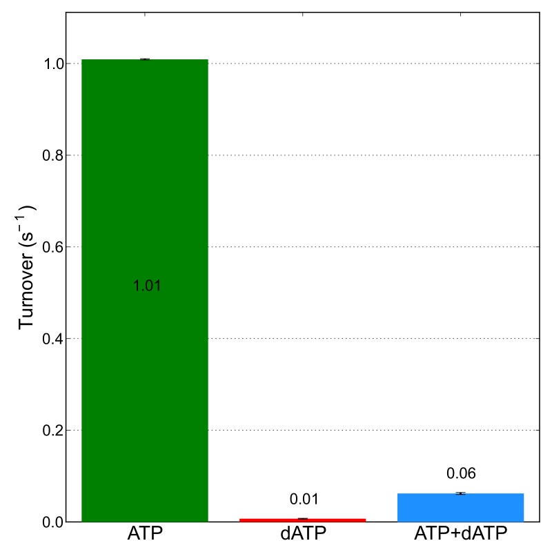 Figure 3—figure supplement 2.