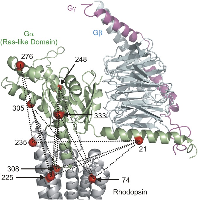 Fig. 1.