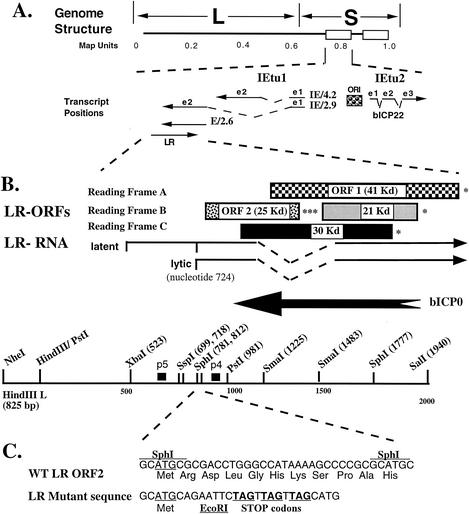 FIG. 5.