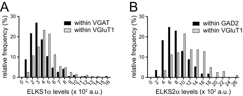 Figure 1—figure supplement 2.