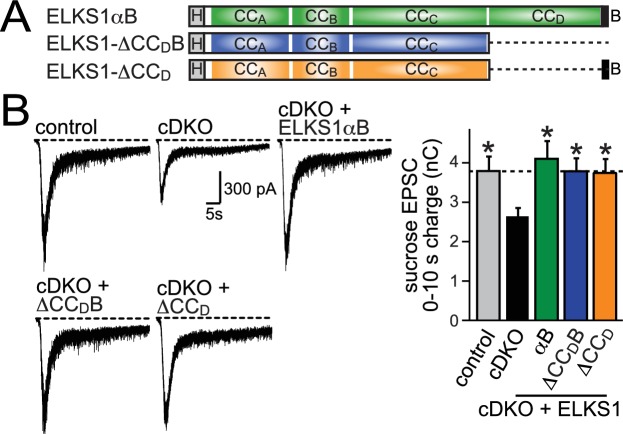 Figure 7.