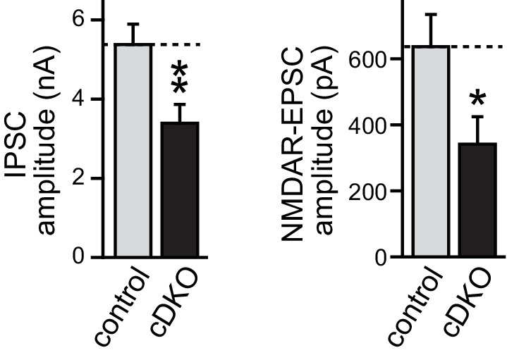 Figure 5—figure supplement 1.