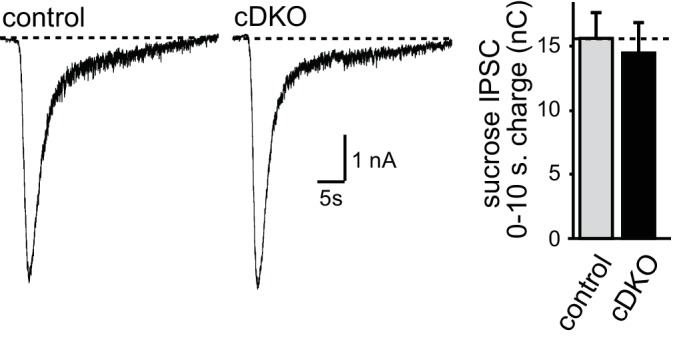 Figure 5—figure supplement 2.