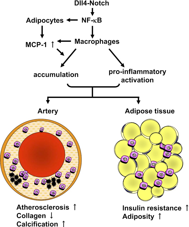 Fig. P1.