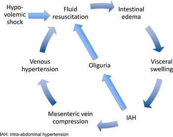 Fig. 1