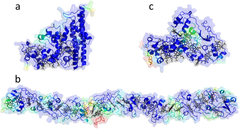 Fig. 7