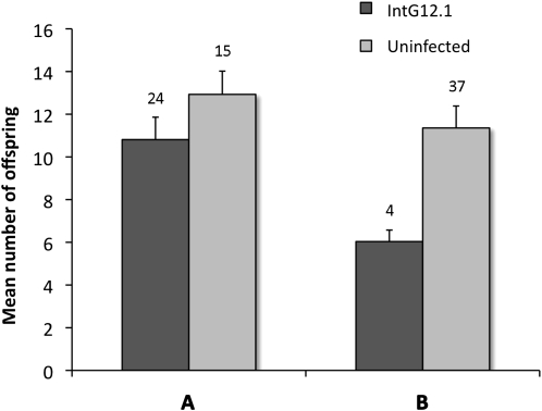 Figure 6.—