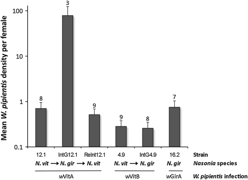 Figure 5.—