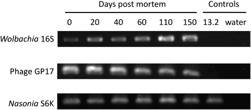 Figure 12.—