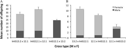 Figure 10.—