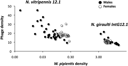 Figure 4.—