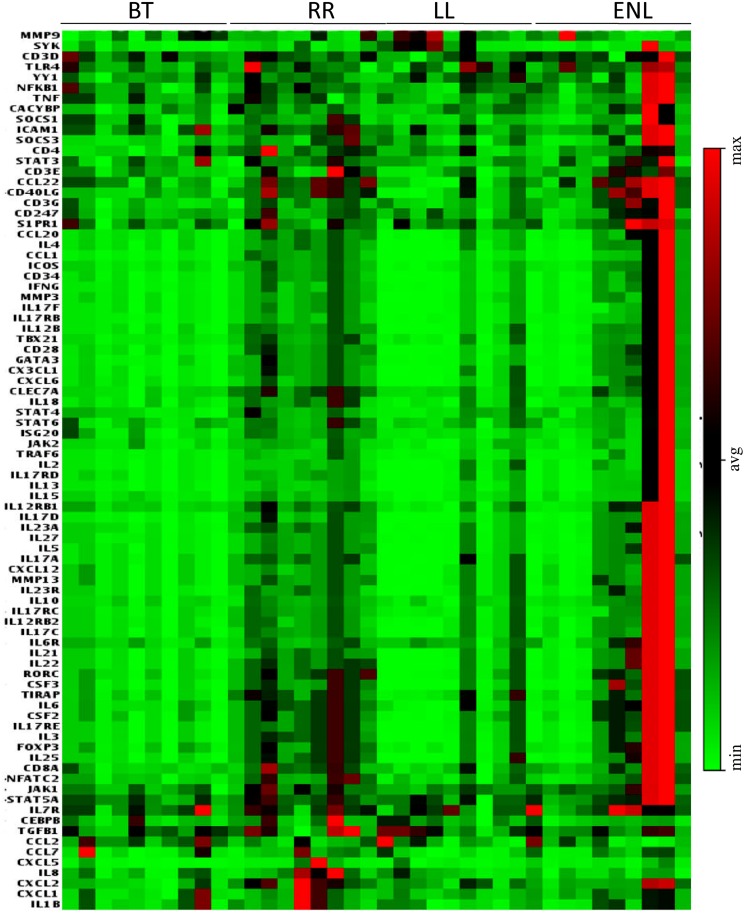 Fig 7