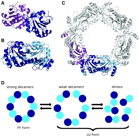 FIG. 7.