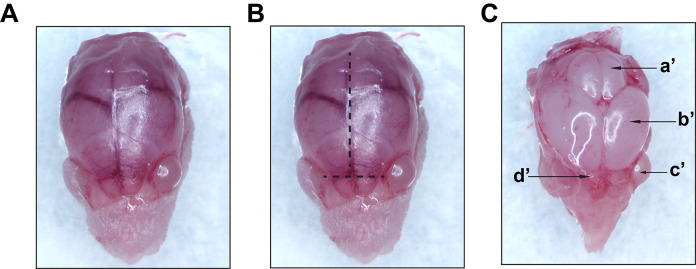 Figure 2.