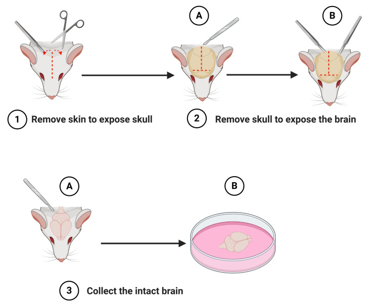 Figure 1.