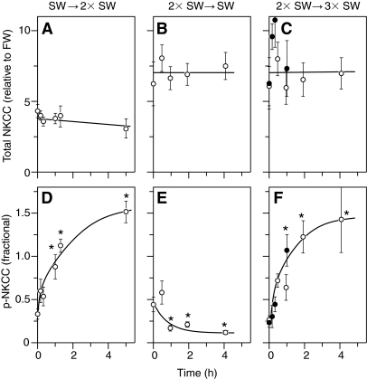 Fig. 8.