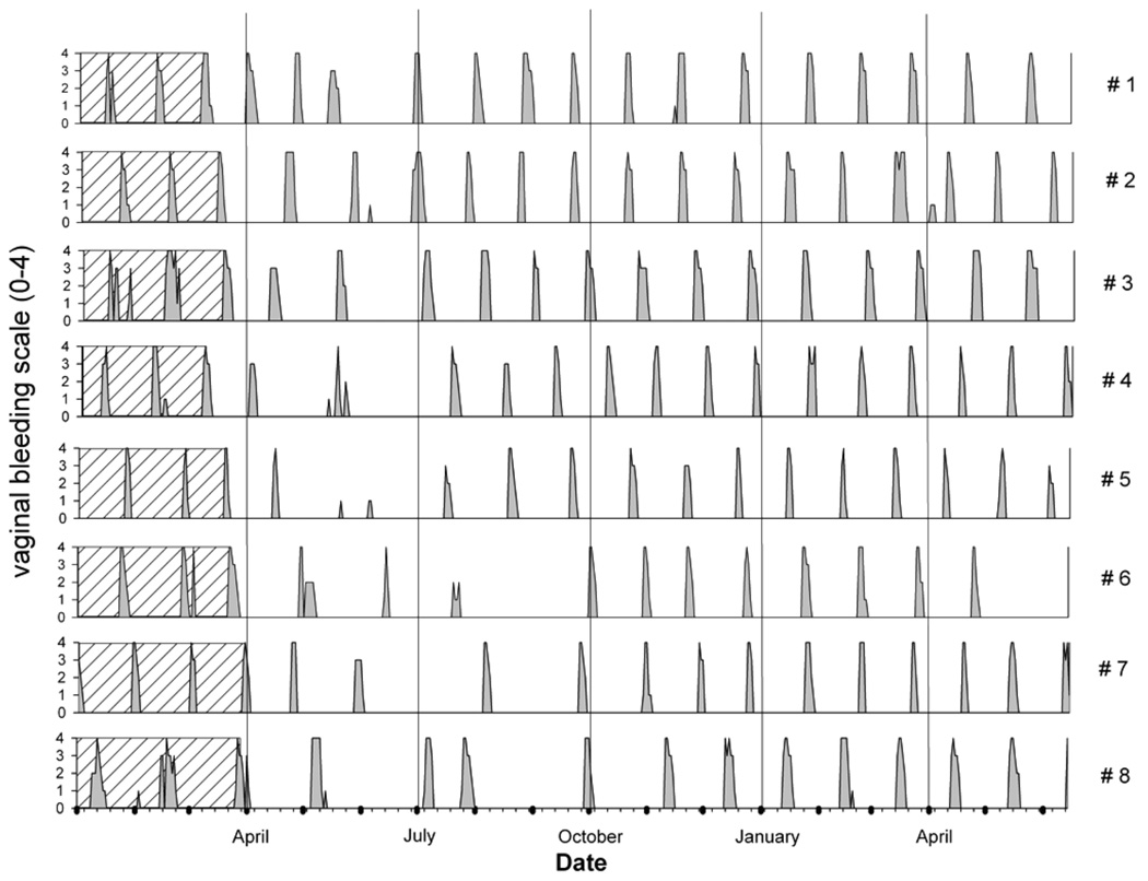 FIGURE 13