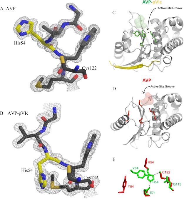 FIGURE 3.