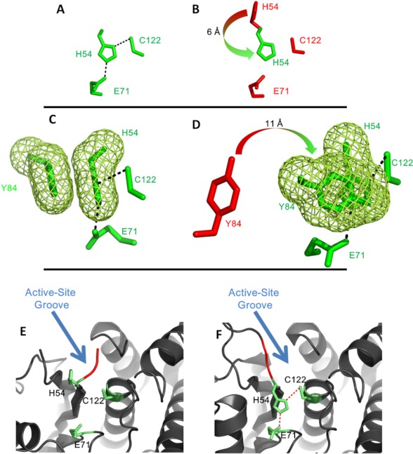 FIGURE 4.