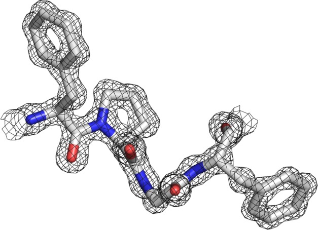 FIGURE 1.