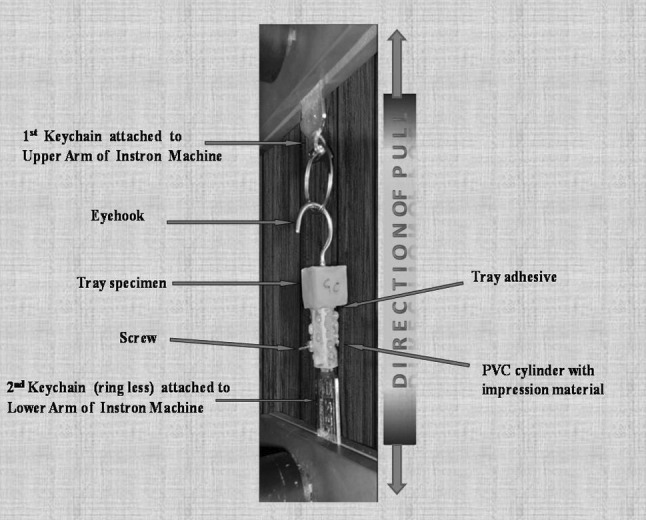 Fig. 3