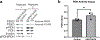 Extended Data Fig. 8