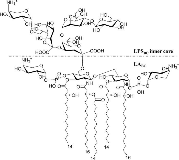 FIGURE 1.