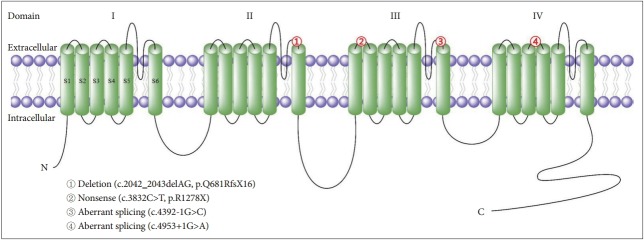 Figure 1.